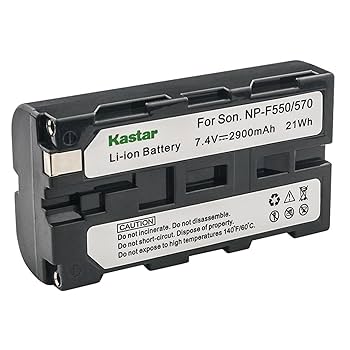 Amazon.com : Kastar Battery for Sony Digital Camcorder